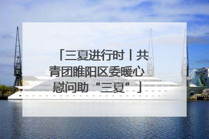三夏进行时丨共青团睢阳区委暖心慰问助“三夏”