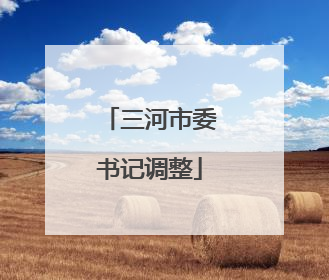三河市委书记调整