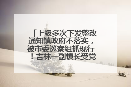 上级多次下发整改通知镇政府不落实，被市委巡察组抓现行！吉林一副镇长受党内警告处分
