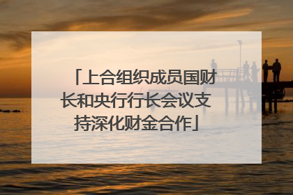 上合组织成员国财长和央行行长会议支持深化财金合作