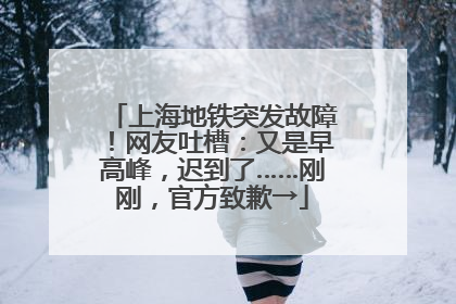 上海地铁突发故障！网友吐槽：又是早高峰，迟到了……刚刚，官方致歉→