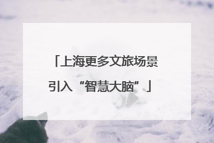 上海更多文旅场景引入“智慧大脑”