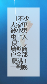 不少人家里被小黑虫“入侵”，墙壁窗户全部爬满！一到晚上更严重，还有一股臭味