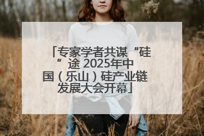 专家学者共谋“硅”途 2025年中国（乐山）硅产业链发展大会开幕