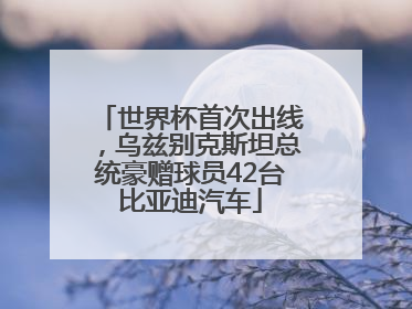 世界杯首次出线，乌兹别克斯坦总统豪赠球员42台比亚迪汽车