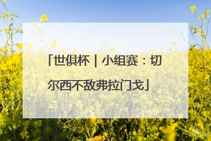 世俱杯｜小组赛：切尔西不敌弗拉门戈