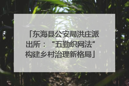 东海县公安局洪庄派出所：“五勤织网法”构建乡村治理新格局