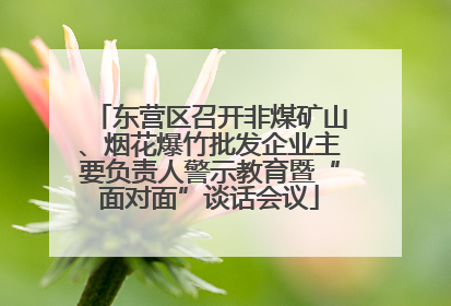 东营区召开非煤矿山、烟花爆竹批发企业主要负责人警示教育暨“面对面”谈话会议