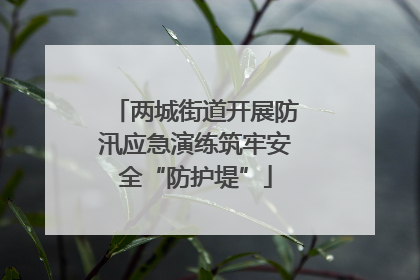 两城街道开展防汛应急演练筑牢安全“防护堤”
