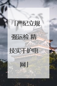 严纪立规强运检 精技实干护电网
