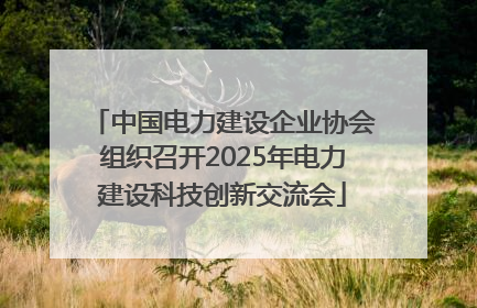 中国电力建设企业协会组织召开2025年电力建设科技创新交流会