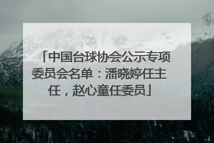 中国台球协会公示专项委员会名单：潘晓婷任主任，赵心童任委员