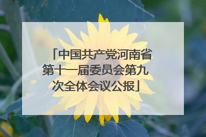 中国共产党河南省第十一届委员会第九次全体会议公报