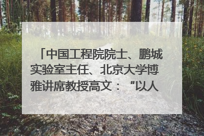 中国工程院院士、鹏城实验室主任、北京大学博雅讲席教授高文：“以人为本 智能向善” 推动文化与科技相生相促｜聚焦2025文化强国建设高峰论坛