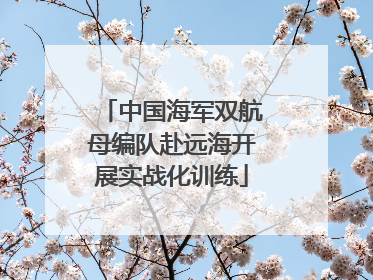 中国海军双航母编队赴远海开展实战化训练