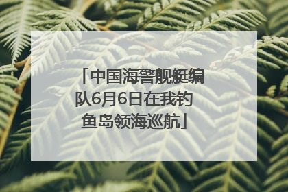中国海警舰艇编队6月6日在我钓鱼岛领海巡航