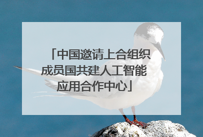 中国邀请上合组织成员国共建人工智能应用合作中心