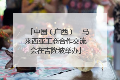 中国（广西）—马来西亚工商合作交流会在吉隆坡举办