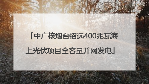 中广核烟台招远400兆瓦海上光伏项目全容量并网发电