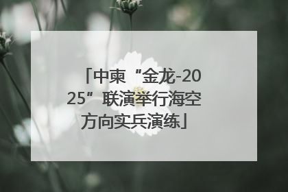 中柬“金龙-2025”联演举行海空方向实兵演练
