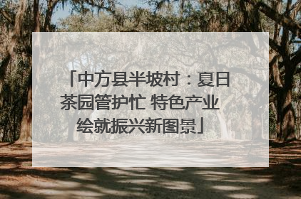 中方县半坡村：夏日茶园管护忙 特色产业绘就振兴新图景