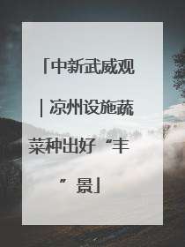 中新武威观｜凉州设施蔬菜种出好“丰”景