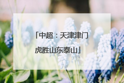 中超：天津津门虎胜山东泰山
