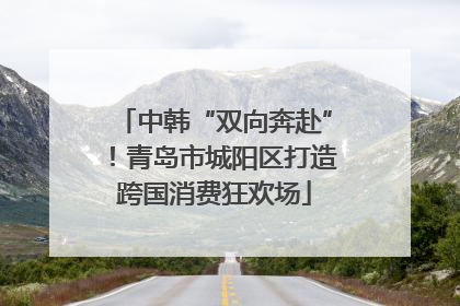 中韩“双向奔赴”！青岛市城阳区打造跨国消费狂欢场