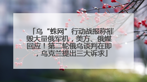 乌“蛛网”行动战报称摧毁大量俄军机，美方、俄媒回应！第二轮俄乌谈判在即，乌克兰提出三大诉求