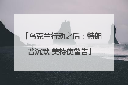 乌克兰行动之后：特朗普沉默 美特使警告