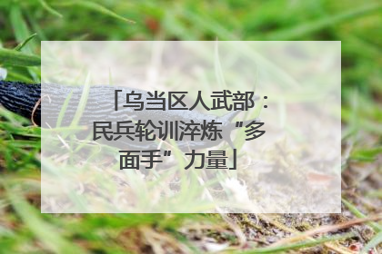 乌当区人武部：民兵轮训淬炼“多面手”力量