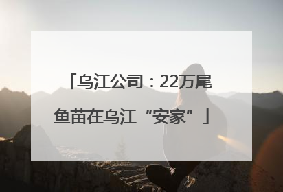 乌江公司：22万尾鱼苗在乌江“安家”