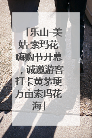 乐山-美姑·索玛花嗨购节开幕，诚邀游客打卡黄茅埂万亩索玛花海
