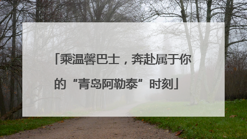 乘温馨巴士，奔赴属于你的“青岛阿勒泰”时刻