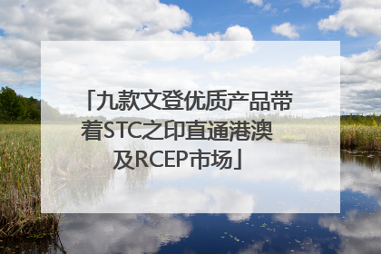 九款文登优质产品带着STC之印直通港澳及RCEP市场