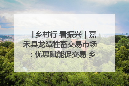 乡村行 看振兴｜嘉禾县龙潭牲畜交易市场：优惠赋能促交易 乡村振兴添动能