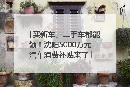 买新车、二手车都能领！沈阳5000万元汽车消费补贴来了