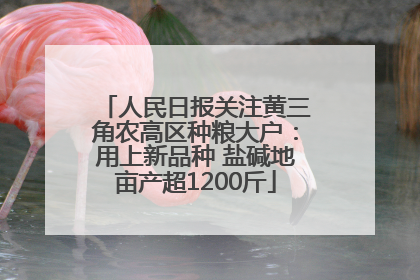 人民日报关注黄三角农高区种粮大户：用上新品种 盐碱地亩产超1200斤