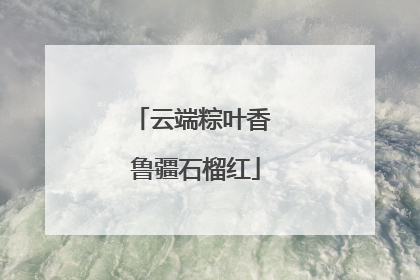 云端粽叶香 鲁疆石榴红
