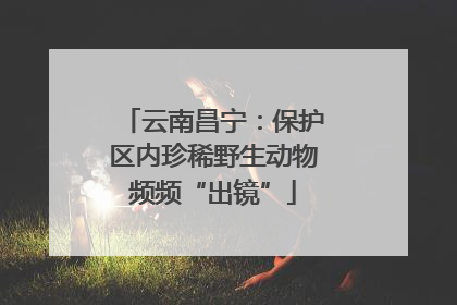 云南昌宁：保护区内珍稀野生动物频频“出镜”