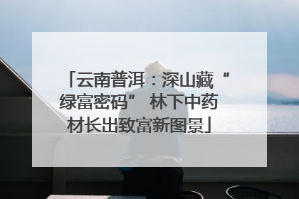 云南普洱：深山藏“绿富密码” 林下中药材长出致富新图景