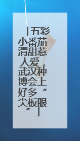 五彩小番茄清甜惹人爱，武汉种博会上好多“尖板眼”