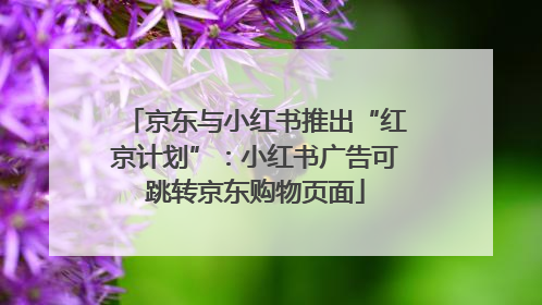 京东与小红书推出“红京计划”：小红书广告可跳转京东购物页面