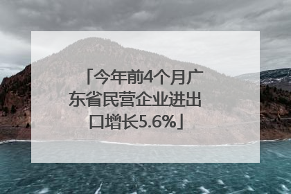 今年前4个月广东省民营企业进出口增长5.6%