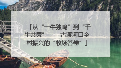 从“一牛独鸣”到“千牛共舞”——古渡河口乡村振兴的“牧场答卷”