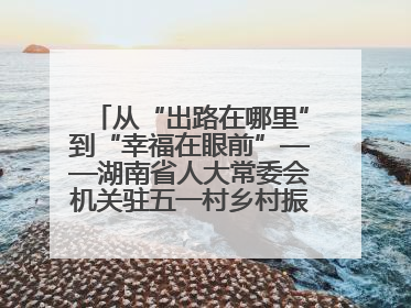从“出路在哪里”到“幸福在眼前”——湖南省人大常委会机关驻五一村乡村振兴帮扶工作队书写振兴答卷