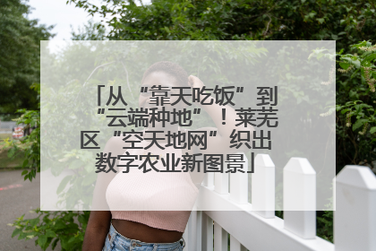 从“靠天吃饭”到“云端种地”！莱芜区“空天地网”织出数字农业新图景