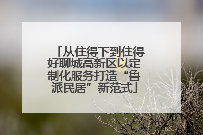 从住得下到住得好聊城高新区以定制化服务打造“鲁派民居”新范式