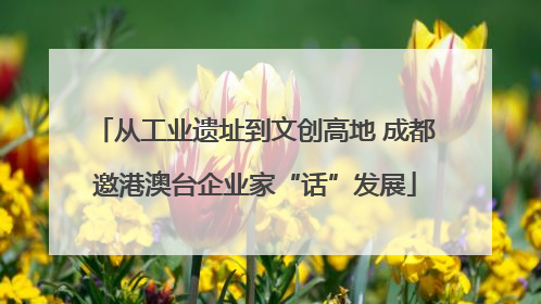 从工业遗址到文创高地 成都邀港澳台企业家“话”发展
