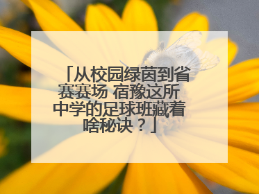 从校园绿茵到省赛赛场 宿豫这所中学的足球班藏着啥秘诀？